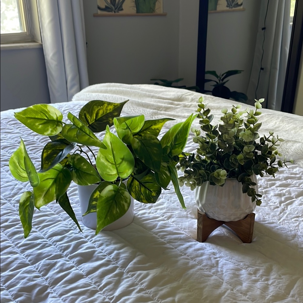 Greenery Duo in White Planters